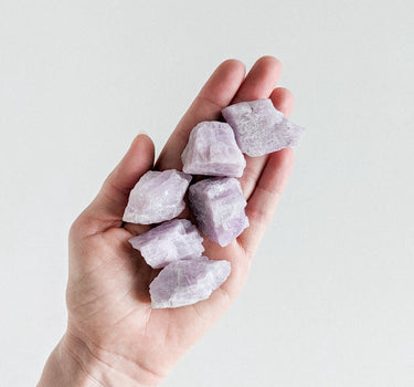 A bunch of soft purple, rough Kunzite stones held on a hand.