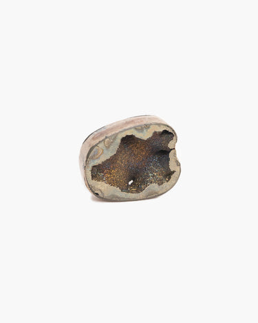 Pyritised Ammonite – N°01 - Self & Others