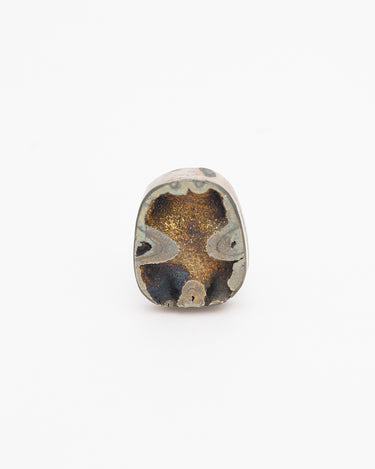 Pyritised Ammonite – N°01 - Self & Others